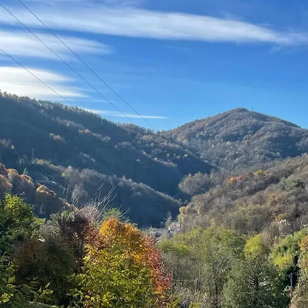 Nido Delle Ortensie * Mosso Santa Maria