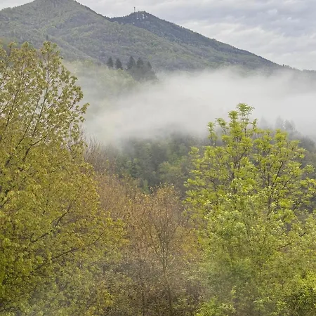 Nido Delle Ortensie Apartamento *